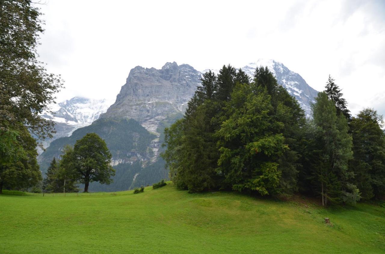 Apartment Grindelwaldgletscher - Griwa Rent Ag Exteriör bild