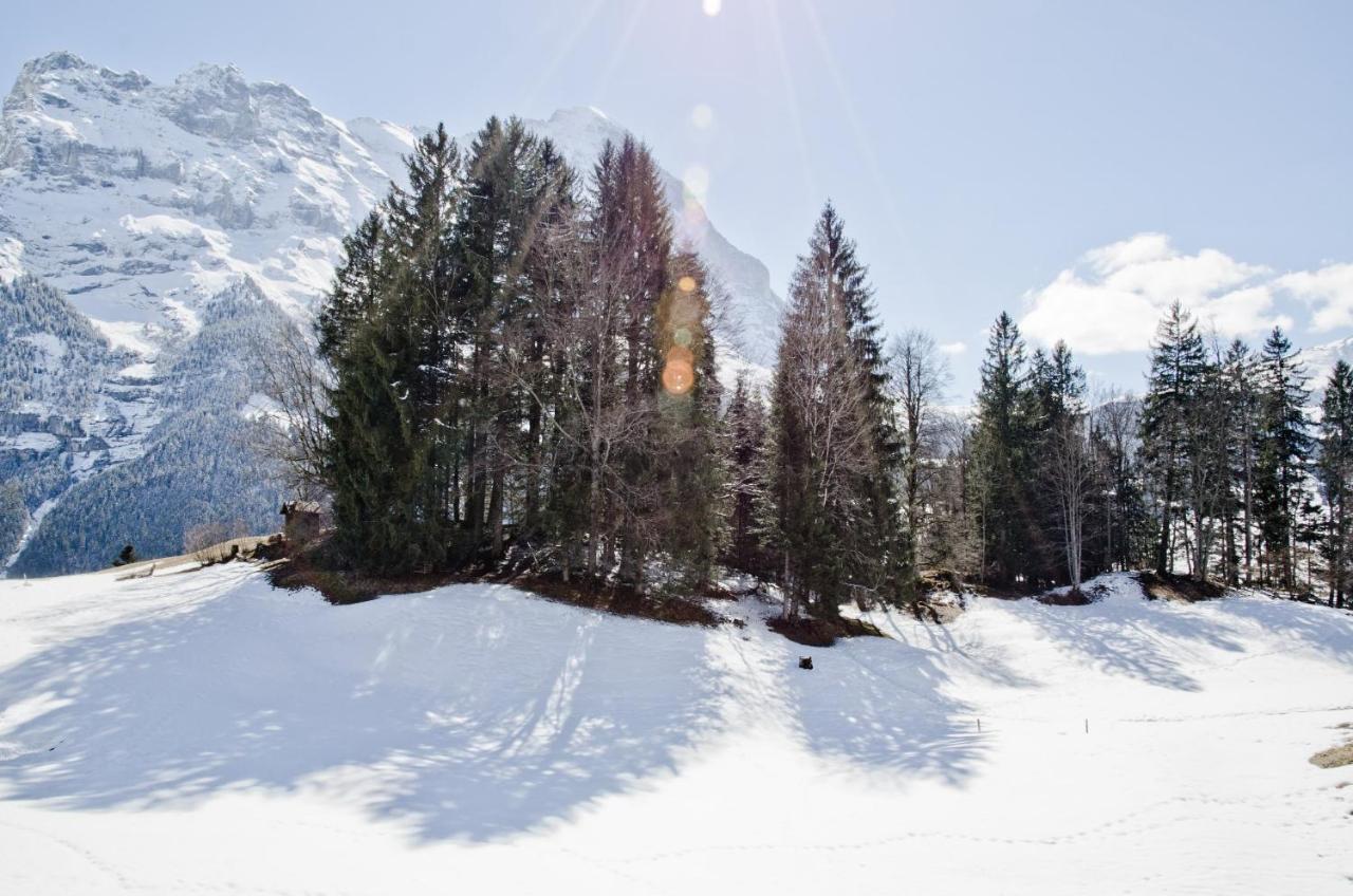 Apartment Grindelwaldgletscher - Griwa Rent Ag Exteriör bild